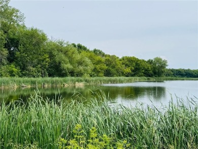 Lake Acreage For Sale in Norway Lake Twp, Minnesota