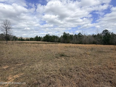 Explore the possibilities with this 61.26 -acre wooded - photo 3