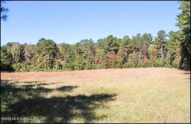 Explore the possibilities with this 61.26 -acre wooded - photo 4