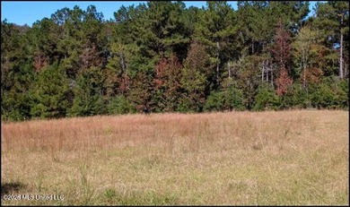 Explore the possibilities with this 61.26 -acre wooded - photo 5
