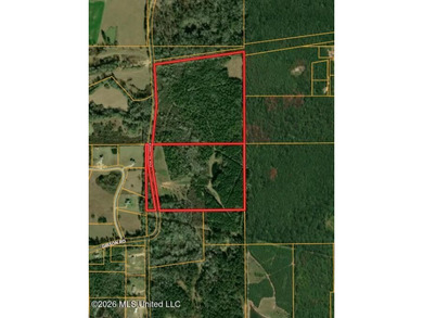 Explore the possibilities with this 61.26 -acre wooded - photo 6