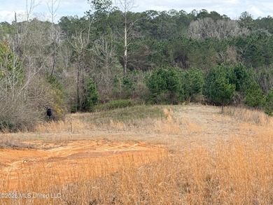 Explore the possibilities with this 61.26 -acre wooded - photo 9