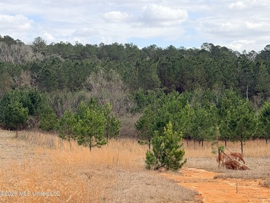 Explore the possibilities with this 61.26 -acre wooded - photo 10