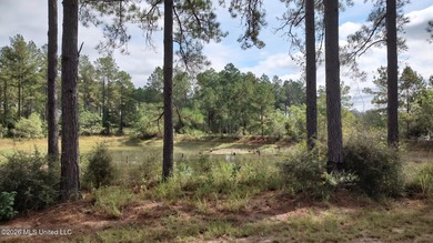 (private lake, pond, coastal) Acreage For Sale in Lumberton Mississippi
