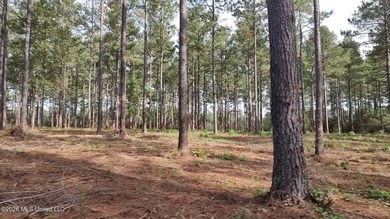 100 acres offering abundant wildlife including deer, turkey, fox - photo 3