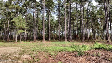 100 acres offering abundant wildlife including deer, turkey, fox - photo 4