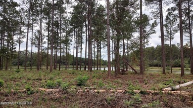 100 acres offering abundant wildlife including deer, turkey, fox - photo 6