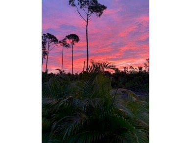 SELLER MOTIVATED! Seize this incredible opportunity to own a - photo 3