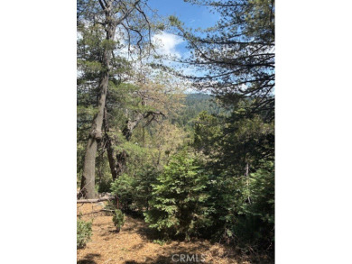 (private lake, pond, creek) Lot For Sale in Lake Arrowhead California