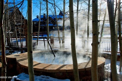 Ski-In/Ski-Out Residences Don't Get Better Than This. This could - photo 25