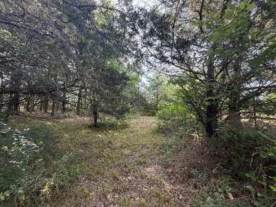 Off Water Lot! No HOA, Minimum Restrictions at RC Lake! - photo 23