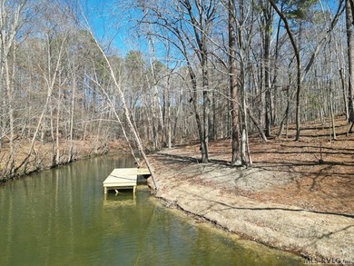 Spacious Waterfront Lot on Lake Gaston - Build Your Dream - photo 2