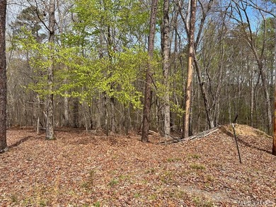 Spacious Waterfront Lot on Lake Gaston - Build Your Dream - photo 3