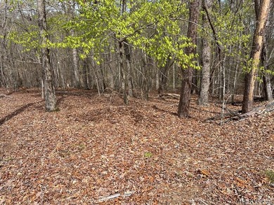 Spacious Waterfront Lot on Lake Gaston - Build Your Dream - photo 4