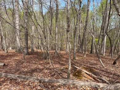 Spacious Waterfront Lot on Lake Gaston - Build Your Dream - photo 6