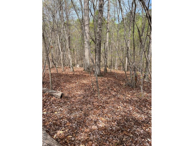 Spacious Waterfront Lot on Lake Gaston - Build Your Dream - photo 7