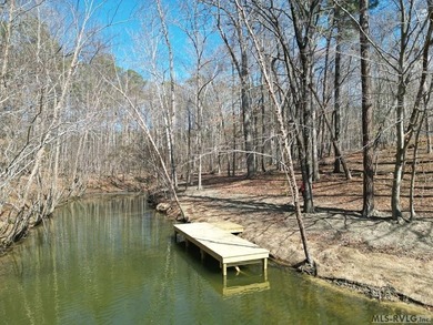Spacious Waterfront Lot on Lake Gaston - Build Your Dream - photo 10