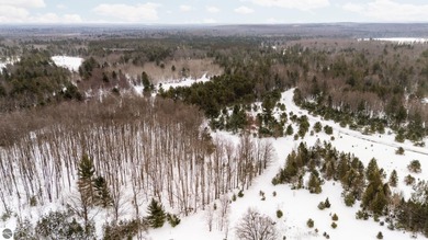 Price Lake Acreage For Sale in Kalkaska Michigan