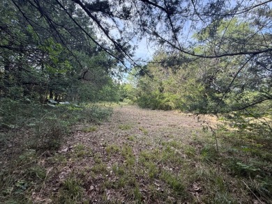 Off Water Lot! No HOA, Minimum Restrictions at RC Lake! - photo 19