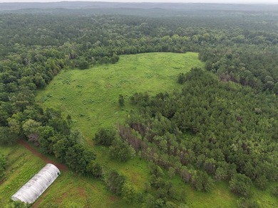 Discover one of the most unique ranch properties in Deep East - photo 11