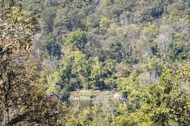 3.9 Acres Overlooking the White River - Mountain Home, AR This 3 - photo 13