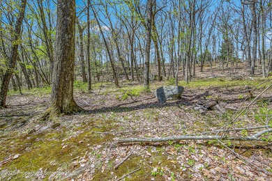 Hemlock Farms charmer nestled in the woods but accessible to - photo 14