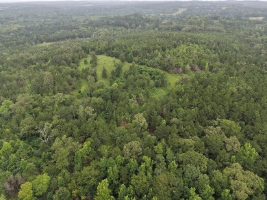 Discover one of the most unique ranch properties in Deep East - photo 14