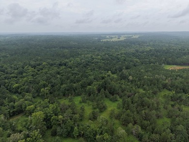 Discover one of the most unique ranch properties in Deep East - photo 15