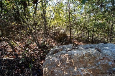 3.9 Acres Overlooking the White River - Mountain Home, AR This 3 - photo 16