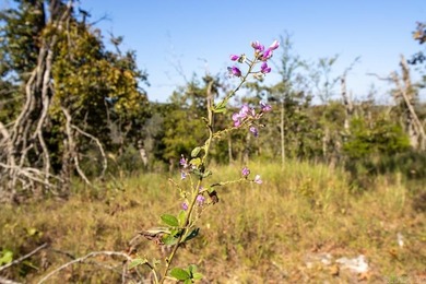 3.9 Acres Overlooking the White River - Mountain Home, AR This 3 - photo 17
