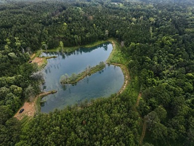 Discover one of the most unique ranch properties in Deep East - photo 17