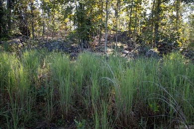 3.9 Acres Overlooking the White River - Mountain Home, AR This 3 - photo 18