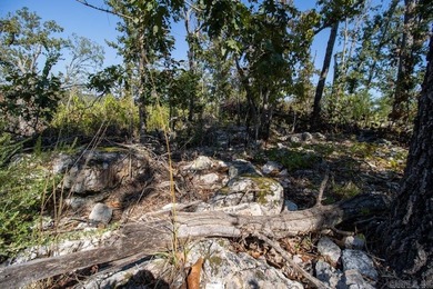 3.9 Acres Overlooking the White River - Mountain Home, AR This 3 - photo 21