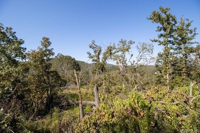 3.9 Acres Overlooking the White River - Mountain Home, AR This 3 - photo 23
