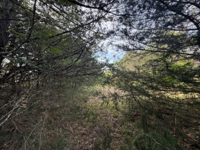Off Water Lot! No HOA, Minimum Restrictions at RC Lake! - photo 20
