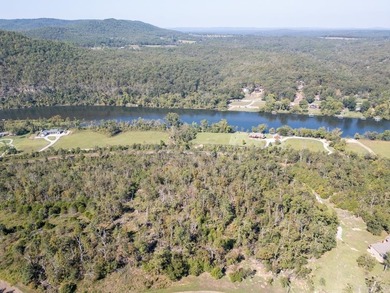 3.9 Acres Overlooking the White River - Mountain Home, AR This 3 - photo 29