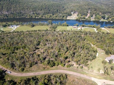 3.9 Acres Overlooking the White River - Mountain Home, AR This 3 - photo 30