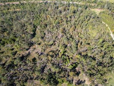 3.9 Acres Overlooking the White River - Mountain Home, AR This 3 - photo 31