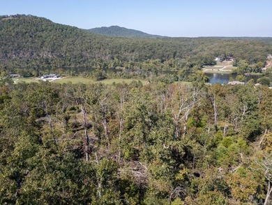 3.9 Acres Overlooking the White River - Mountain Home, AR This 3 - photo 32