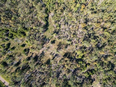 3.9 Acres Overlooking the White River - Mountain Home, AR This 3 - photo 33