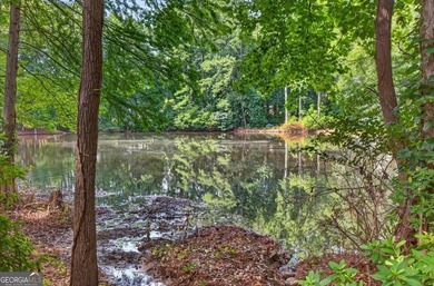 Welcome to Darien Park, one of Roswell's hidden gems! This - photo 34