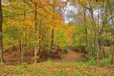 Discover one of the most unique ranch properties in Deep East - photo 34