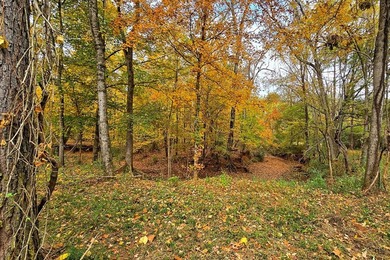 Discover one of the most unique ranch properties in Deep East - photo 35