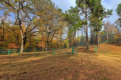 Discover one of the most unique ranch properties in Deep East - photo 36