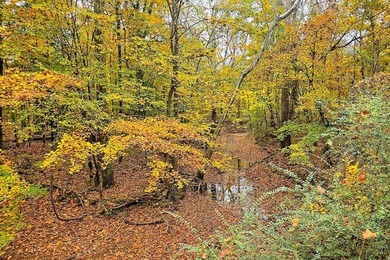 Discover one of the most unique ranch properties in Deep East - photo 37