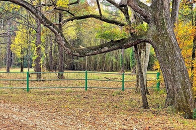 Discover one of the most unique ranch properties in Deep East - photo 38