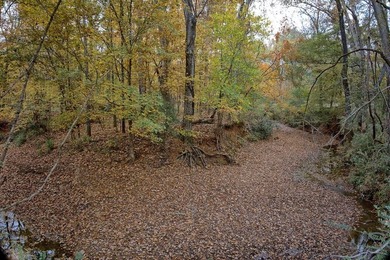 Discover one of the most unique ranch properties in Deep East - photo 39