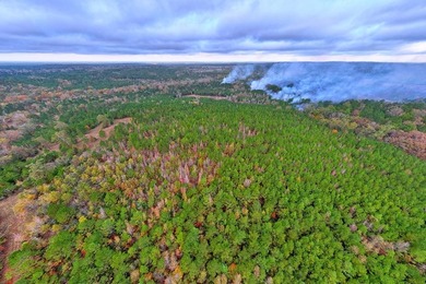 Discover one of the most unique ranch properties in Deep East - photo 41