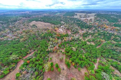 Discover one of the most unique ranch properties in Deep East - photo 42