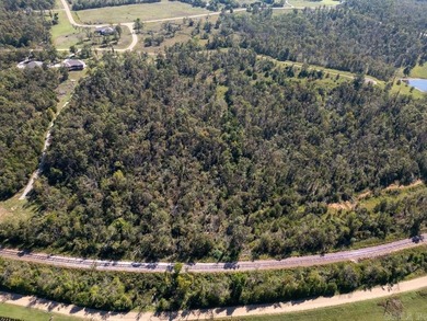 3.9 Acres Overlooking the White River - Mountain Home, AR This 3 - photo 43